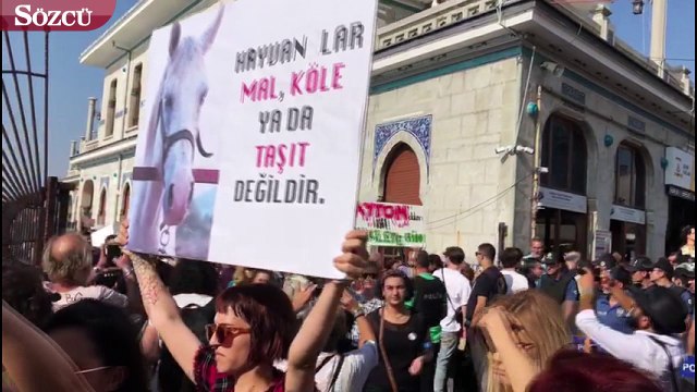 Artık sesimizi duyun, faytona binmeyin, atlar ölmesin!