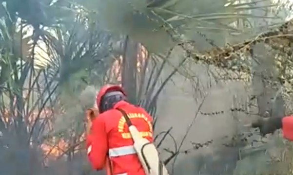 Kekeringan Timbulkan Krisis Air Bersih