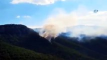 Antalya’da orman yangını...Yangına havadan müdahale devam ediyor