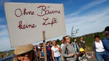 Hambacher Forst: Tausende protestieren gegen Abholzung