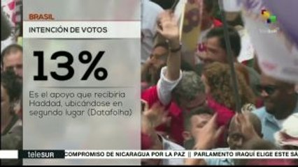 Brasil: continúa en aumento la intención de voto en favor de Haddad