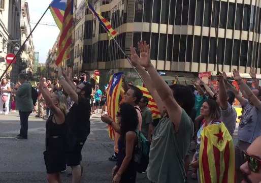 Police Divide Pro- and Anti-Spanish-Language Protestors in Barcelona