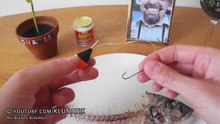 EATING ROTTEN FISH!! Kluna Tik Dinner  ASMR eating sounds no talk Comiendo pescado podrido
