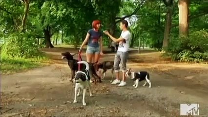 My Life As Liz S02 E08