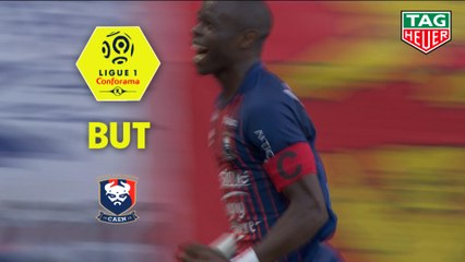 But Prince ONIANGUE (73ème) / SM Caen - Olympique Lyonnais - (2-2) - (SMC-OL) / 2018-19
