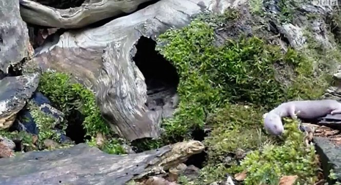 Yorkshire Wolds Way S01 - Ep02 2 HD Watch