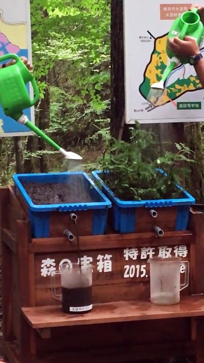 Une experience incroyable qui nous montre les effets de la déforestation