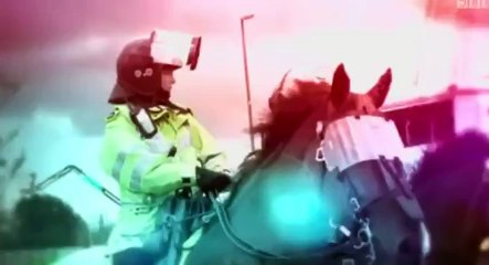 Crimewatch Roadshow S07 - Ep03  3 HD Watch