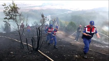 Ağaçlık alanda yangın - BİLECİK