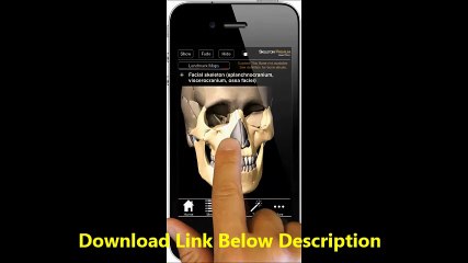 Skeleton Premium 2.4.12 Key for IOS