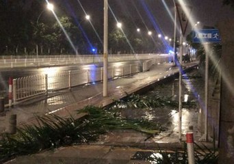 Download Video: Typhoon Mangkhut Winds Leave Trees Astrew in Zhuhai