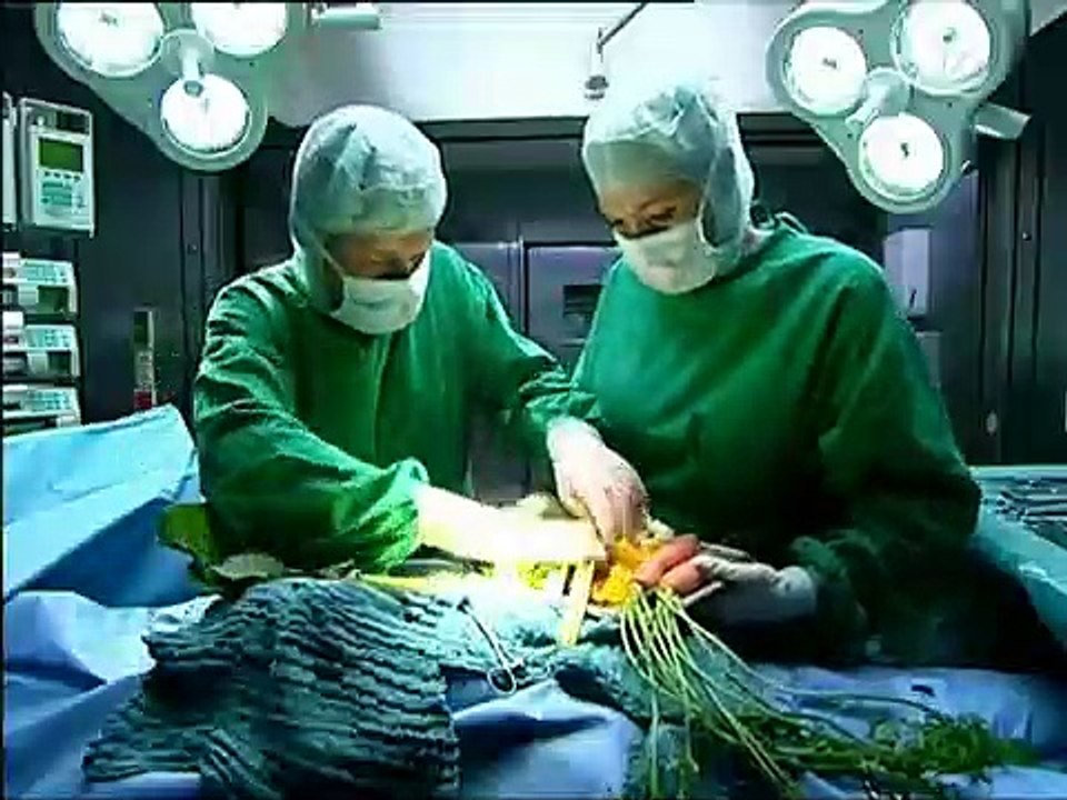 Die dreisten Drei Staffel 6 Folge 11 HD Deutsch