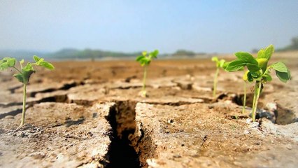 A vendre - Appartement - LYON (69003) - 3 pièces - 73m²