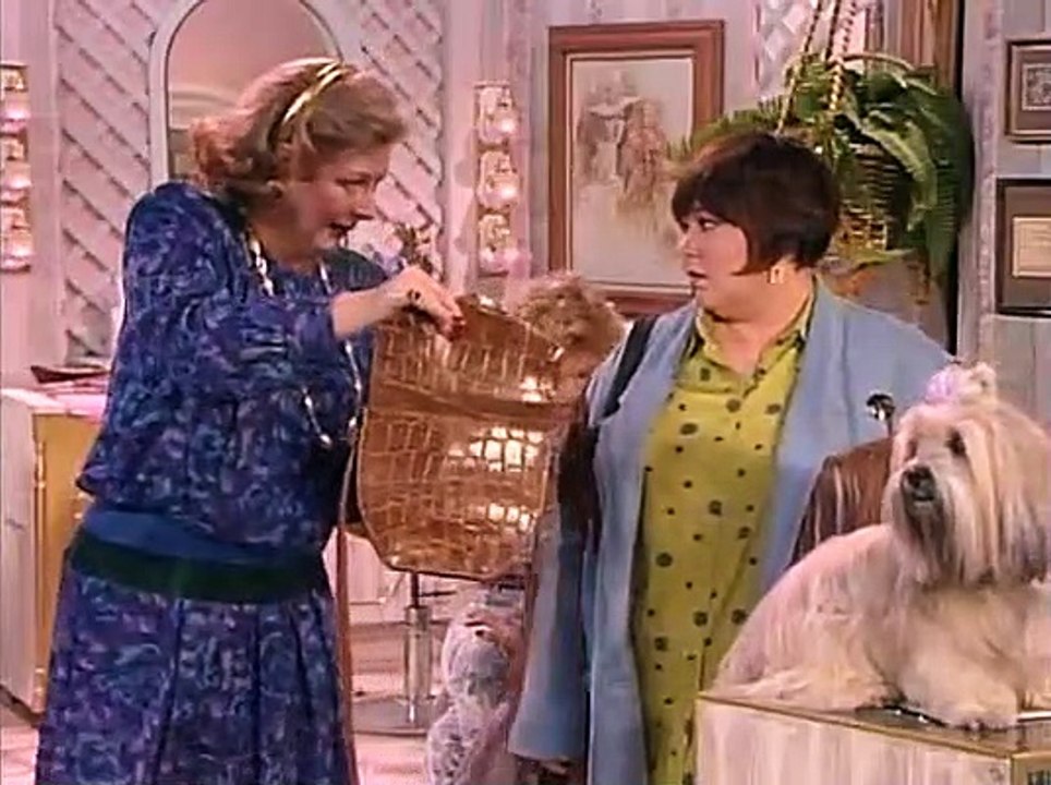Roseanne S02 E21 Fender Bender video Dailymotion