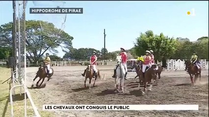 Les chevaux ont conquis le public