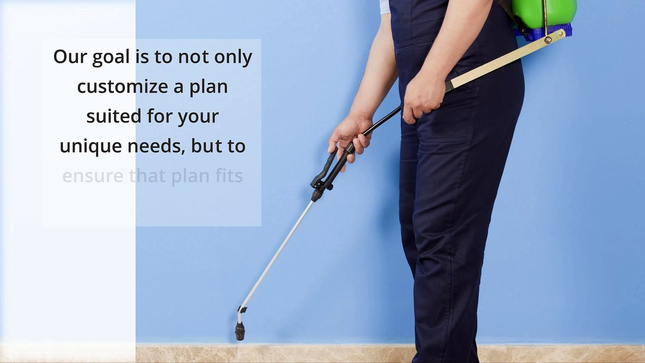 Effective & Affordable Pest Control Services in New Jersey (732-505-3277)