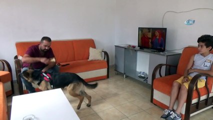 O köpeğin başına gelmeyen kalmamış,hırsızlardan kurtulup 112’ye sığınmış
