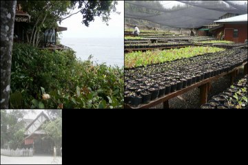 DARRYL WILLIAMS - Now or Never