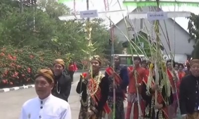 Tradisi Wiwitan, Simbol Harapan di Awal Musim Giling Tebu