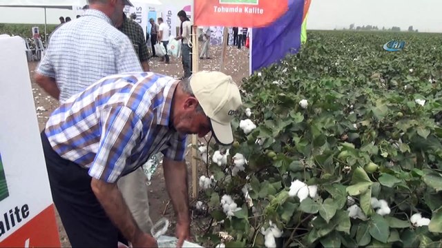 MAY Tohum yeni pamuk çeşitlerini 'Bereket Şenliği'nde çiftçilere tanıttı