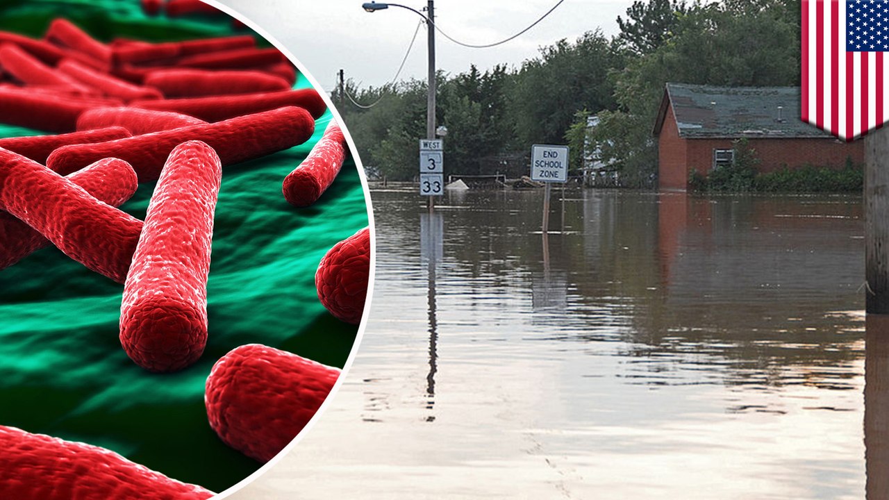 Diseases you could catch from contaminated flood waters
