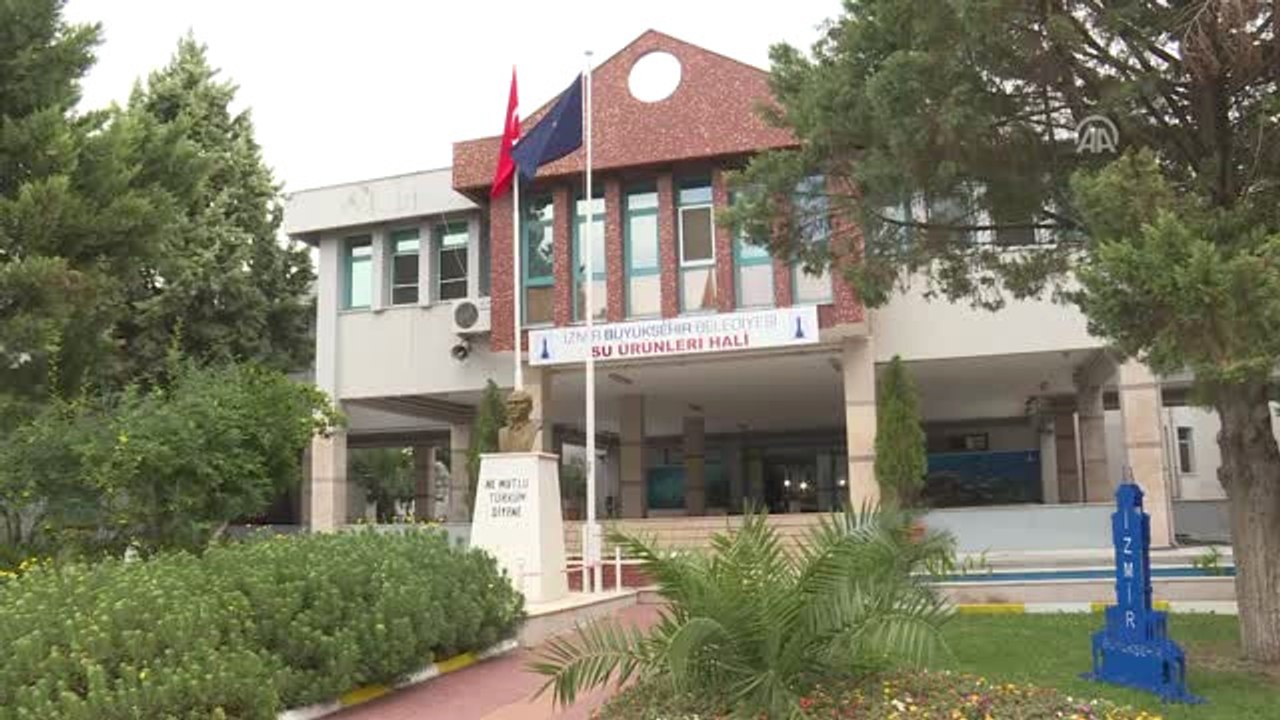 Ege'de Sardalya Bereketi
