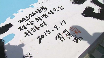 "평양에서 역사적 감동을"...도심 곳곳 정상회담 환영행사 / YTN