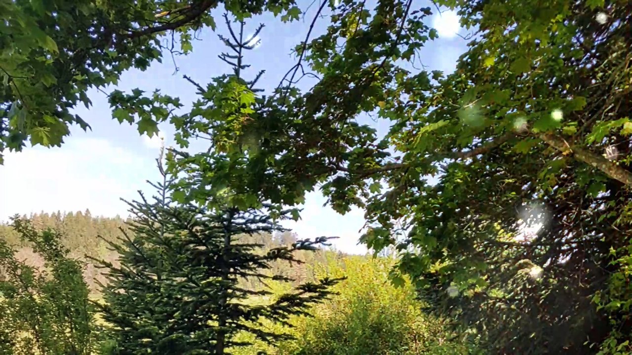 KÄRNTEN ALTHOFEN HUMANO-MED KURORT#4