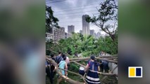 Chinese workers climb through fallen trees to get to work after Typhoon Mangkhut