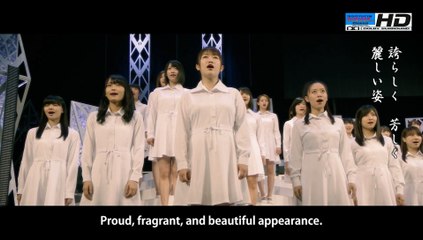 Hello!Project All Stars ( Flowers, at the Height of the Season) HD