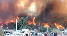 Antalya'daki Orman Yangınında, Seralar Zarar Gördü, Vatandaşlar Evlerinden Tahliye Ediliyor