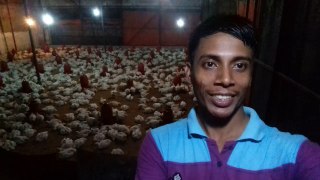 Poultry Farming Business Dtube Part-10