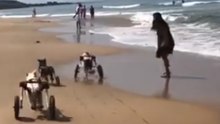 Shelter Dogs in Wheelchairs Have a Blast on the Beach
