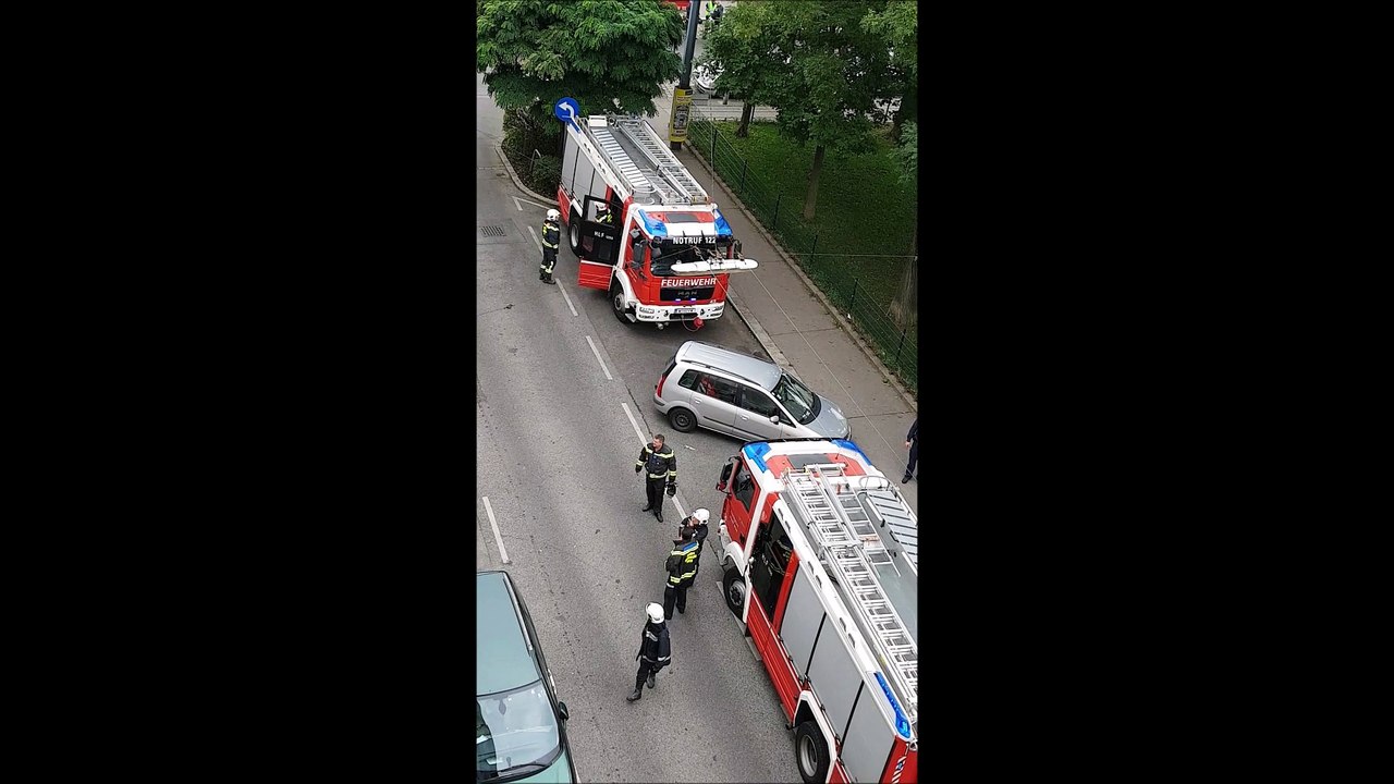 VİYANA 15.BÖLGE  RUDOLFSHEIM SITEMDE YANGIN