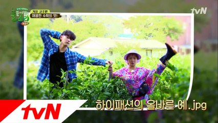 도전! 농민모델 코리아 in 미산리 고추밭