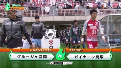 ガイナーレＴＲＩＢＥ