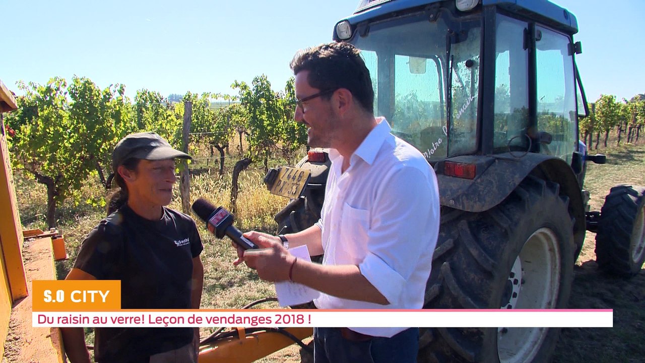 SO CITY - Du raisin à la bouteille! Les vendanges 2018 c'est parti!