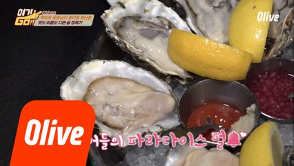 [장훈PICK 5위] ※국내 유일 오이스터 바※ 굴 러버들의 파라다이스 전격 공개!