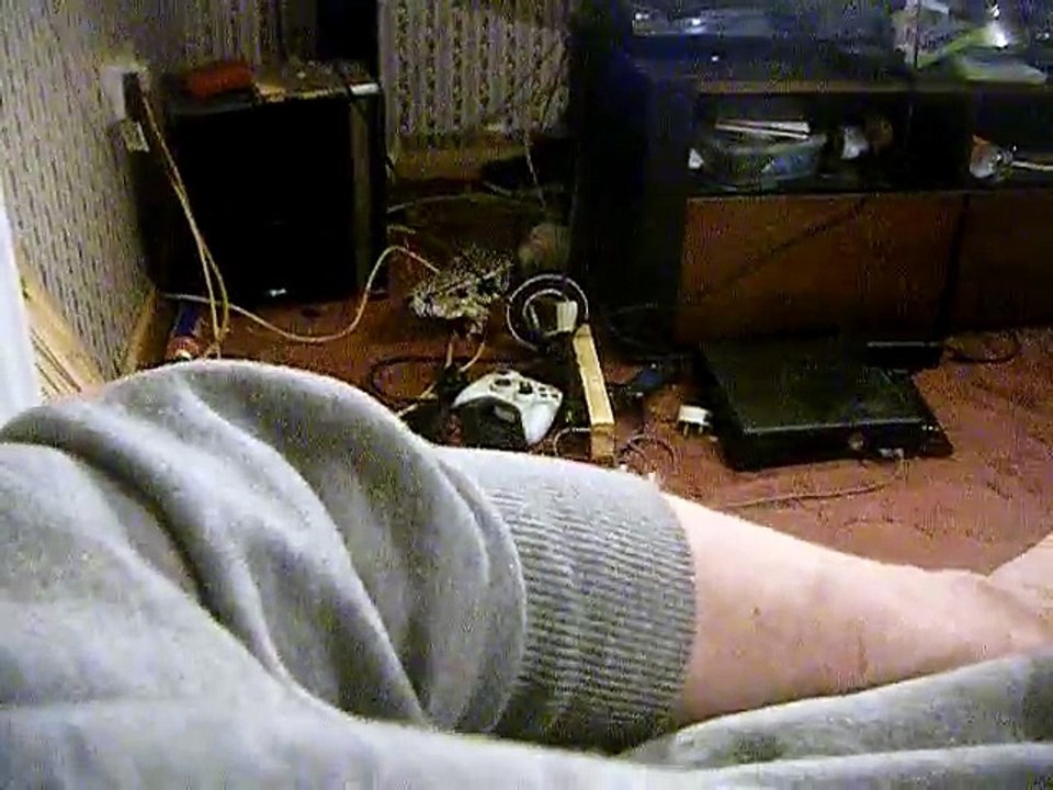 Lizard Comes on Command