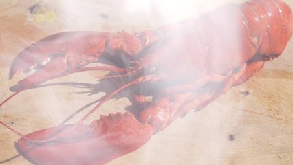 Restaurant to Get Lobsters High Before Cooking Them