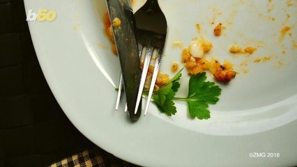 Jason Biggs Shows Off Terrible Lunches He's Giving His Kids While His Wife's Out of Town