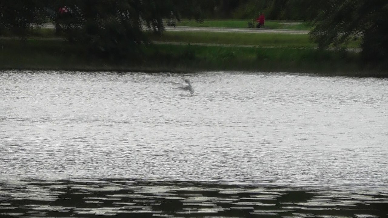 Sep 9 2018 F4
