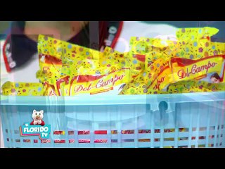 PROGRAMA EL FLORIDO TV JUEVES 06 DE SEPTIEMBRE 2018