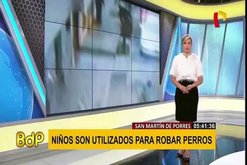 San Martín de Porres.: denuncian que niños son utilizados para robar mascotas