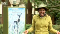 A Visit To Nairobi National Park