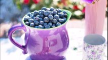 5 Proven Health Benefits Of Blueberries - Preventing You From Dangerous Disease
