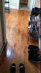 Hot Roommate Dancing While Cleaning