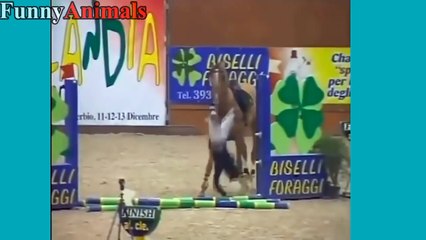 FUNNY HORSES - Funny Horse Videos Compilation 2017 [NEW]