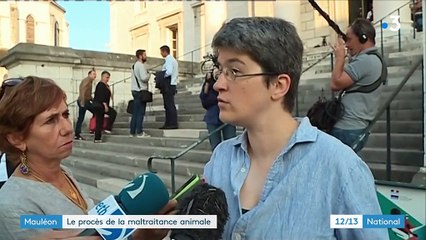 Maltraitance animale : le procès de l'abattoir de Mauléon s'ouvre à Pau