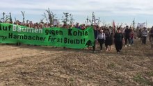 Protesters and Activists Clash as German Tree House Evictions Continue